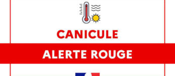 ALERTE ROUGE CANICULE